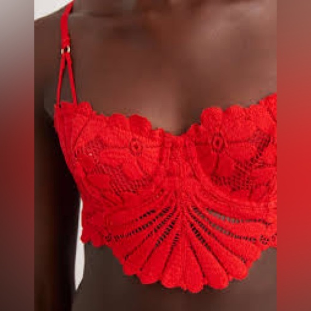 Aerie Red and Gold Lace Balconette Bra with Underwire and Scalloped Trim - Picture 2 of 12